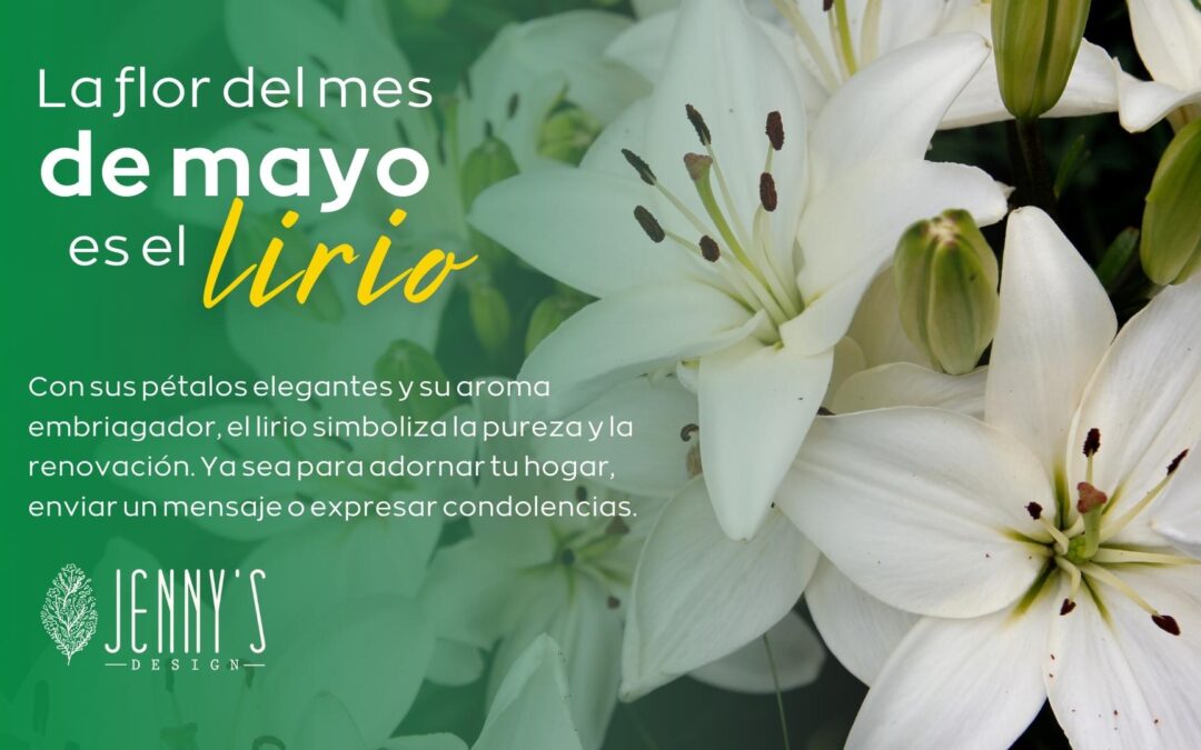 La Belleza Emblemática de Mayo: El Encanto del Lirio en Jennys Design